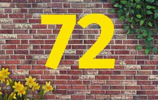 Auf einer Mauer aus roten Backsteinen steht 72, oben rechts wächst Efeu und links stehen Osterglocken | Wohnträume der Deutschen